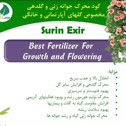کود محرک رشد، جوانه زنی و گلدهی مخصوص گل و گیاه آپارتمانی (3 عدد)