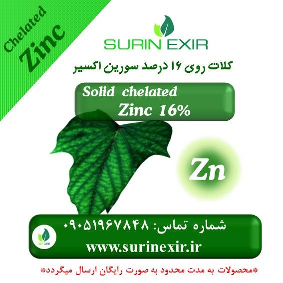 کلات روی ۱۶% سورین اکسیر